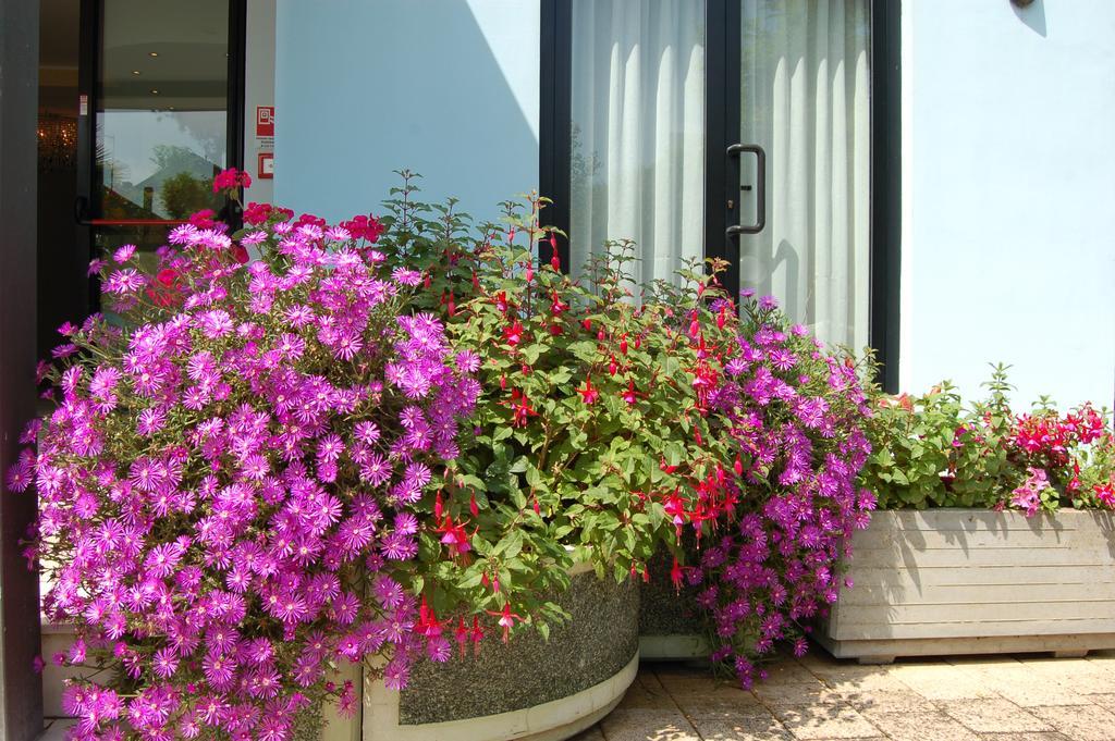 Hotel Massimo Cervia Buitenkant foto
